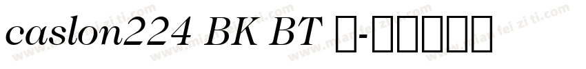 caslon224 BK BT 粗字体转换